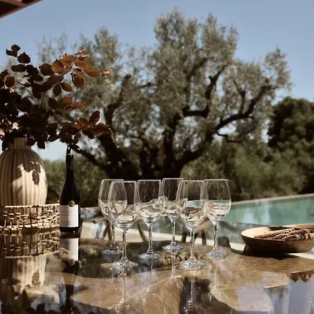 Dila Grand Villa, A 5acres Secluded Sanctuary With Pool, By Thinkvilla Tsilivi (Zakynthos)