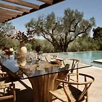 Dila Grand Villa, A 5acres Secluded Sanctuary With Pool, By Thinkvilla Tsilivi (Zakynthos)