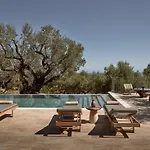 Dila Grand Villa, A 5acres Secluded Sanctuary With Pool, By Thinkvilla Tsilivi (Zakynthos)