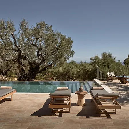 Dila Grand Villa, A 5acres Secluded Sanctuary With Pool, By Thinkvilla Tsilivi (Zakynthos)