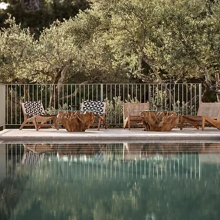 Dila Grand Villa, A 5acres Secluded Sanctuary With Pool, By Thinkvilla * Tsilivi (Zakynthos)